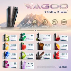 微信图片_20260318134216_484_1900 新品上市【WAGOO❣️哇酷拋棄式6500口❣️】by KIS5 的高端品牌 【滿7送1請備注口味】